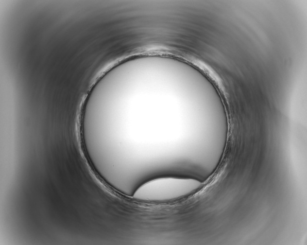 X0000093611429200710151008