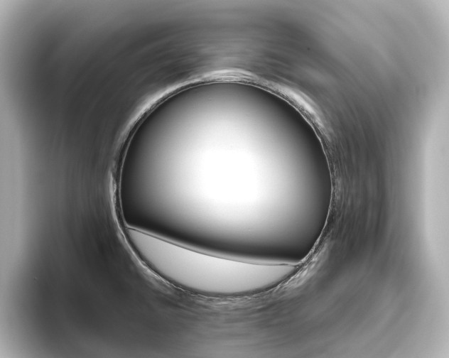 X0000093611430200710151008