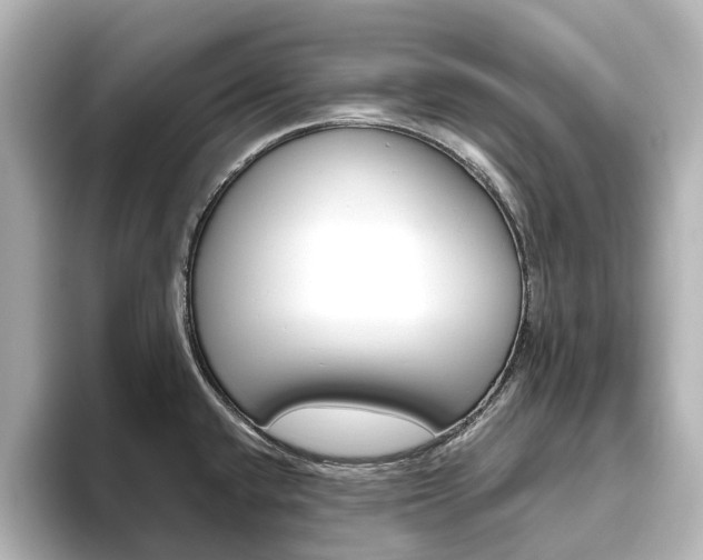 X0000093611432200710151008