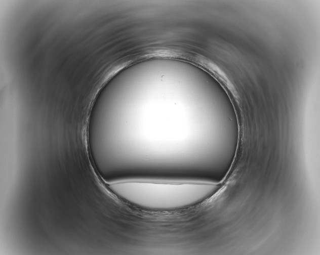 X0000093611433200710151008