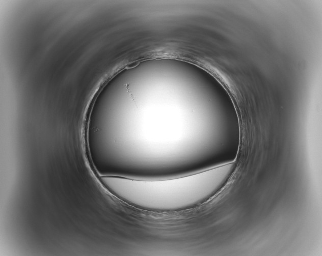X0000093611434200710151008