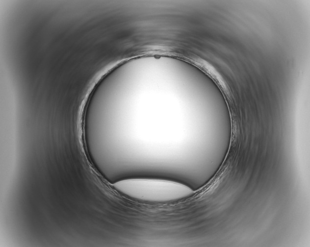X0000093611435200710151008