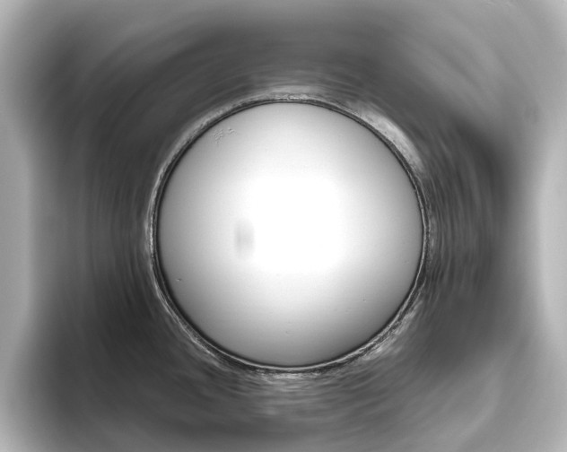 X0000093611436200710151008