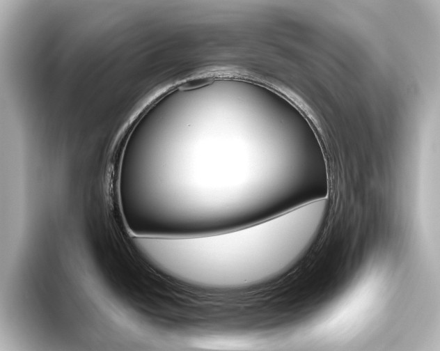 X0000093611438200710151008
