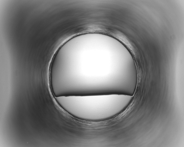 X0000093611439200710151008