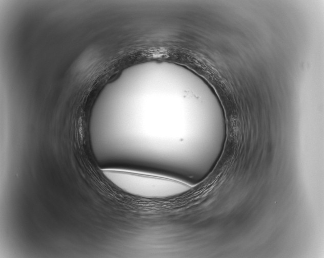 X0000093611442200710151007