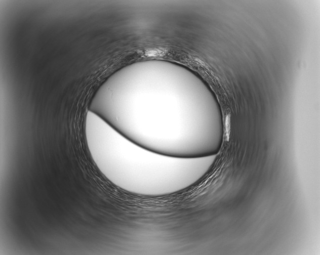 X0000093611443200710151007