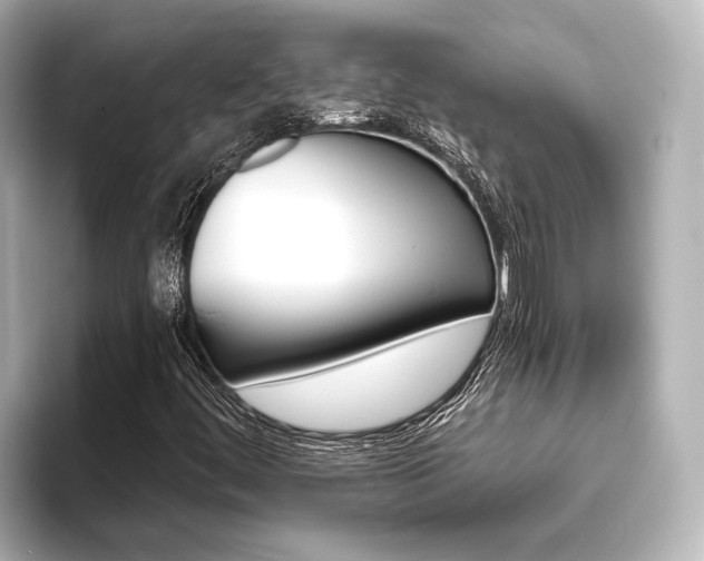X0000093611444200710151007