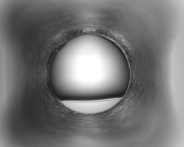 X0000093611445200710151007