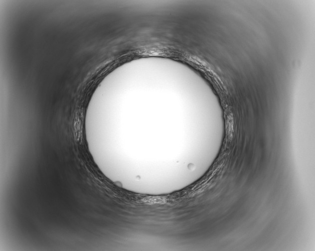 X0000093611446200710151007