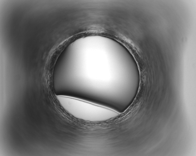 X0000093611448200710151007