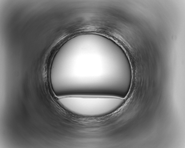 X0000093611450200710151007