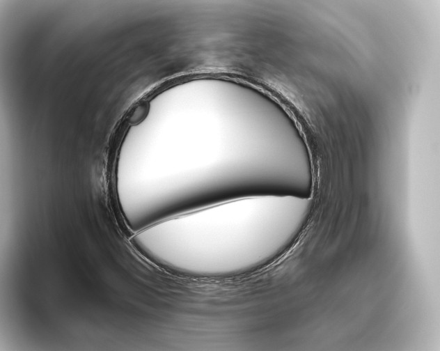 X0000093611452200710151007