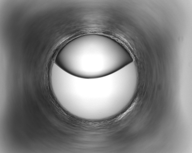 X0000093611453200710151007