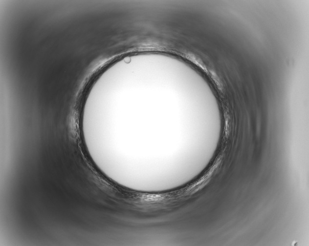 X0000093611454200710151007
