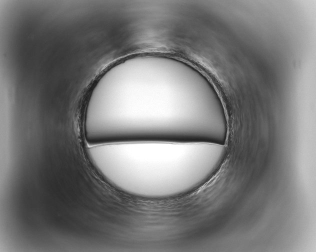 X0000093611455200710151007