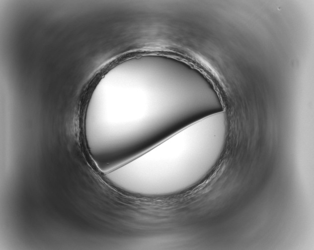 X0000093611456200710151007