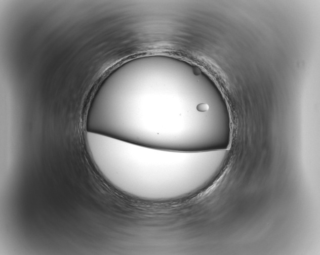 X0000093611457200710151007