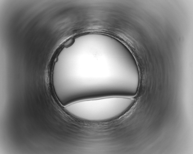 X0000093611458200710151007