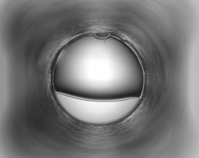 X0000093611459200710151007