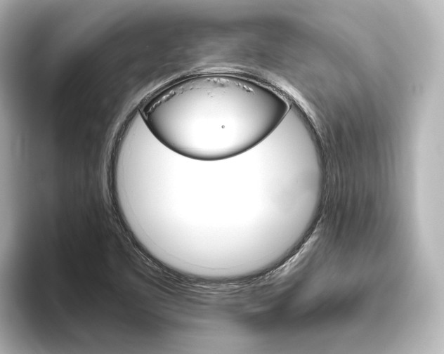 X0000093611461200710151007