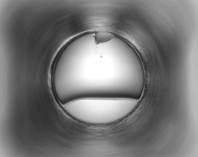 X0000093611468200710151007