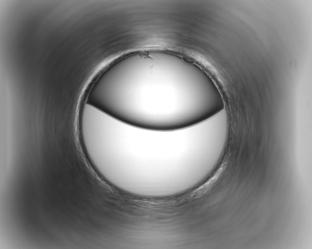 X0000093611469200710151007