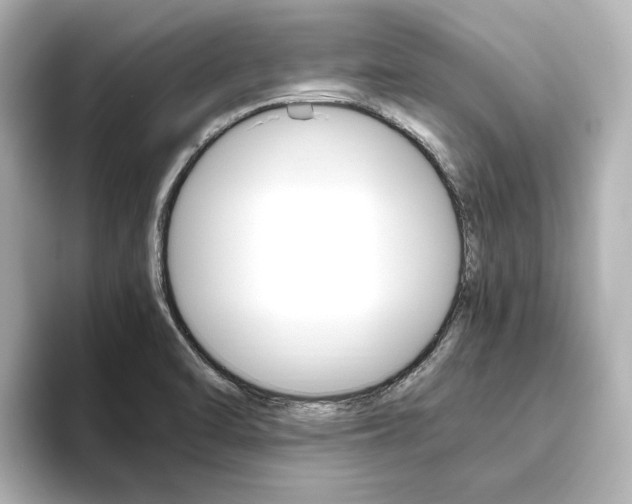 X0000093611470200710151007
