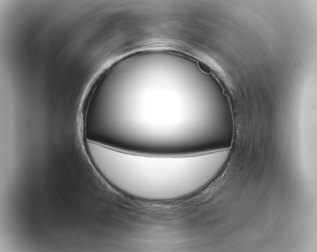 X0000093611472200710151007