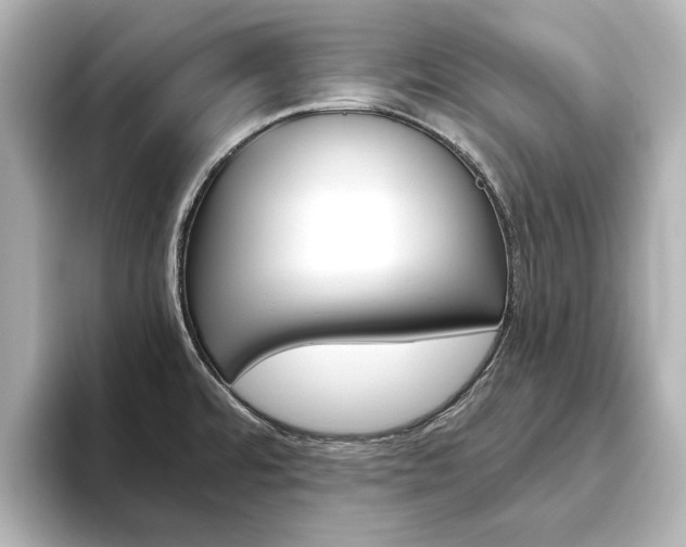X0000093611480200710151007