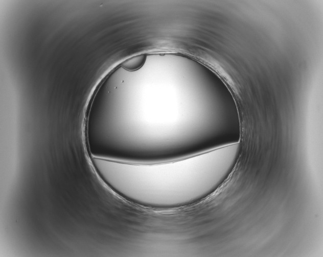 X0000093611484200710151007