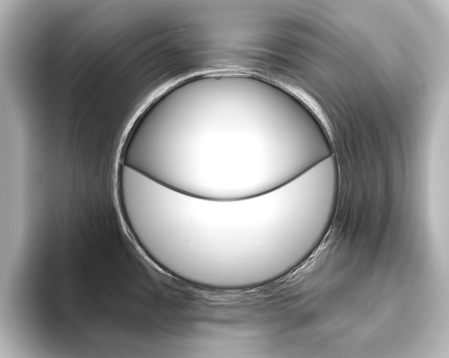 X0000093611485200710151007