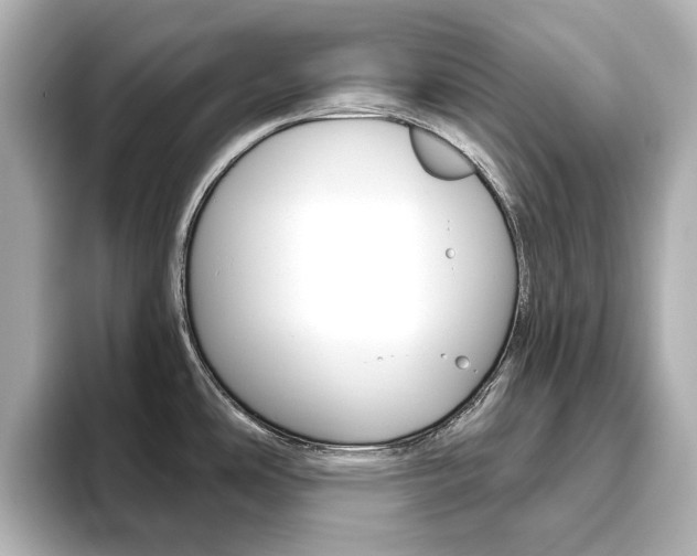 X0000093611486200710151007