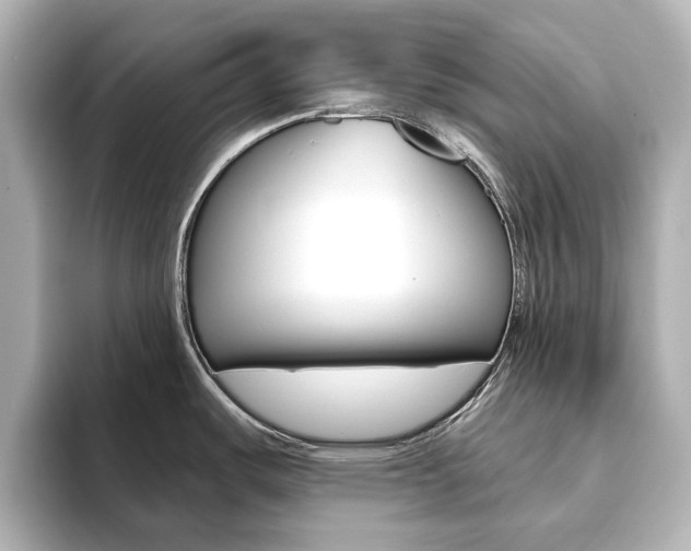 X0000093611487200710151007