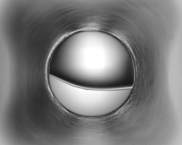 X0000093611488200710151007