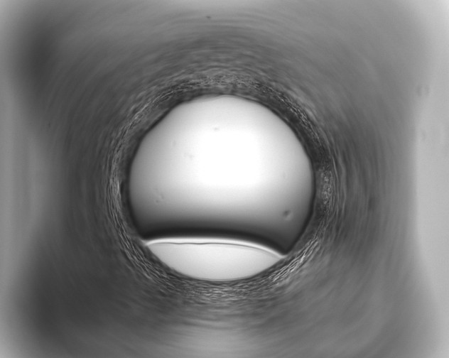X0000093611489200710151006