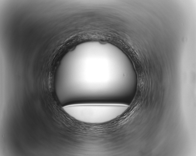 X0000093611490200710151006