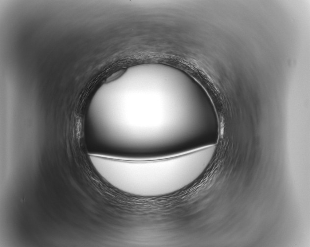 X0000093611492200710151006