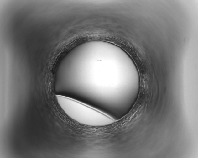 X0000093611493200710151006