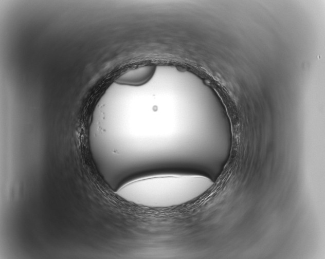 X0000093611495200710151006