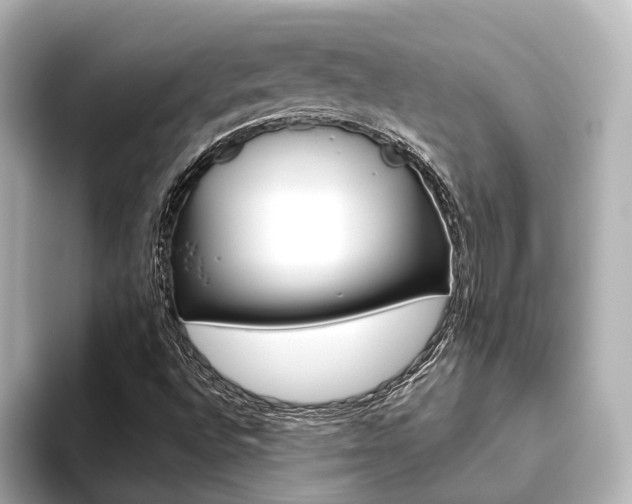 X0000093611496200710151006