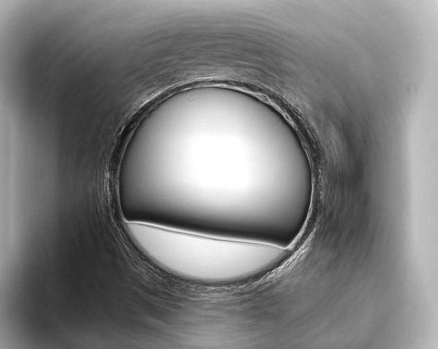 X0000093611497200710151006