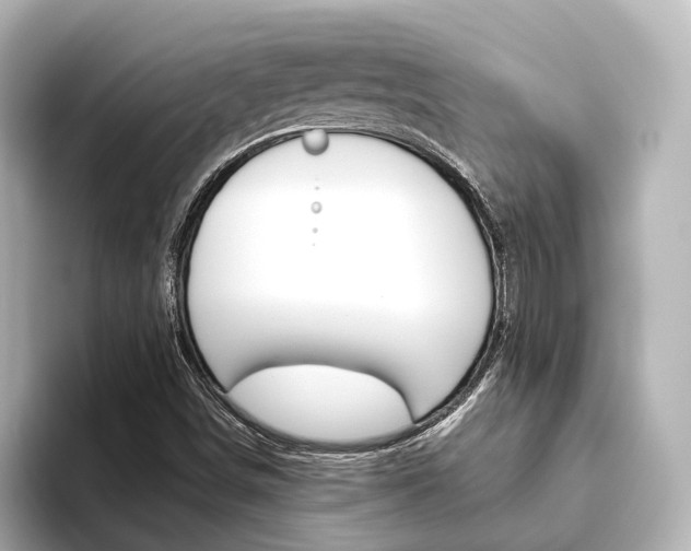 X0000093611498200710151006
