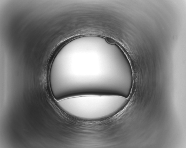 X0000093611499200710151006