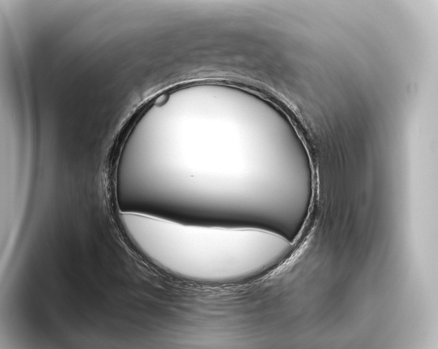 X0000093611501200710151006