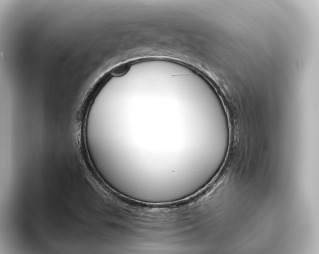 X0000093611503200710151006