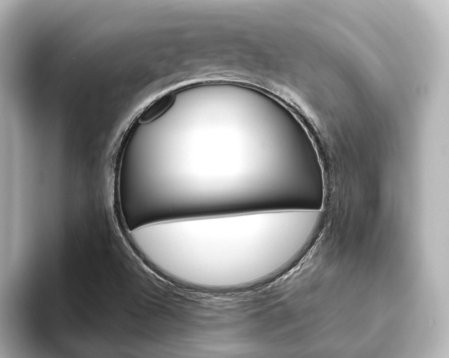 X0000093611504200710151006