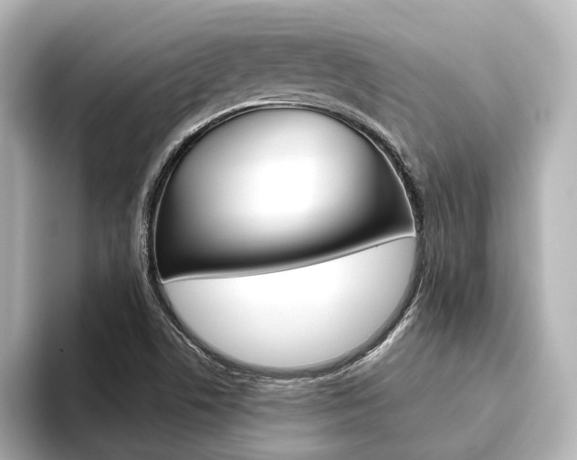 X0000093611506200710151006