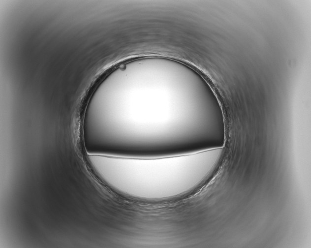 X0000093611507200710151006