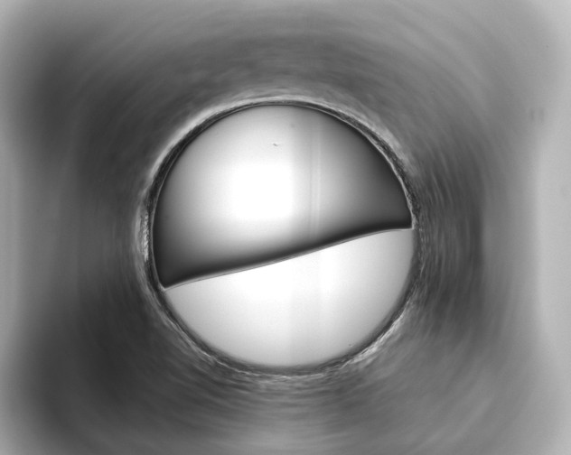 X0000093611510200710151006